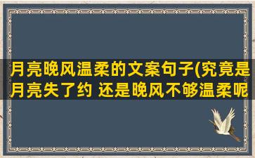 月亮晚风温柔的文案句子(究竟是月亮失了约 还是晚风不够温柔呢)